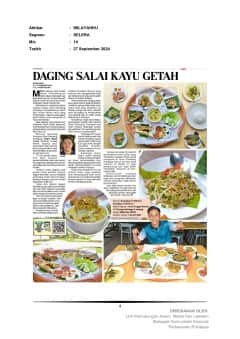 daging salai kayu getah