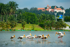 MAJLIS PENYAMPAIAN HADIAH PUTRAJAYA URBAN BIODIVERSITY CHALLENGE (PUBC 2023) (3 JULAI 2023)