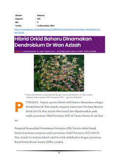 Hibrid Orkid baharu dinamakan Dendrobium Dr Wan Azizah