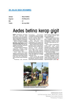 Aedes betina kerap gigit