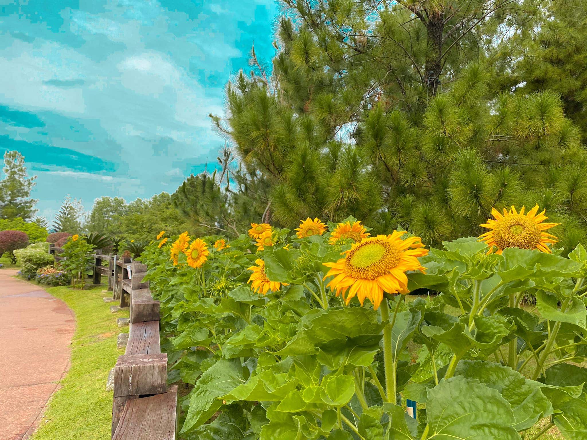 Taman Saujana Hijau